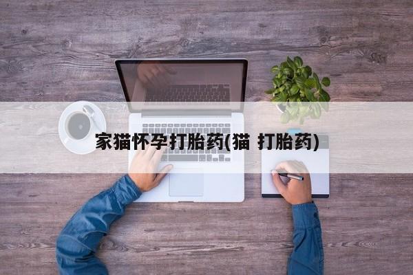 打胎药微信购买官方正品家猫怀孕打胎药(猫 打胎药)