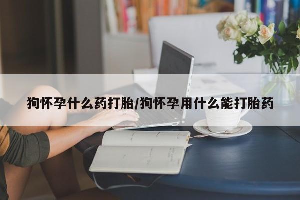 打胎药微信购买官方正品狗怀孕什么药打胎/狗怀孕用什么能打胎药